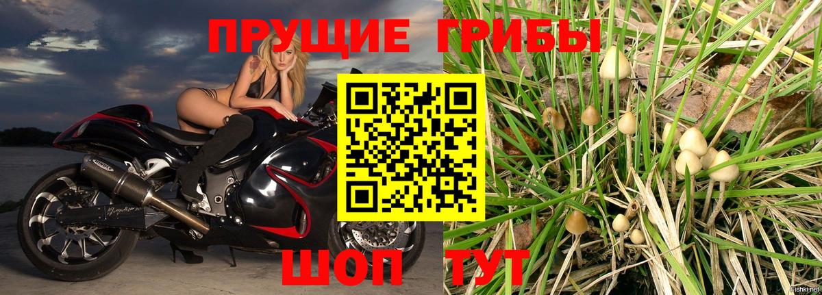 Сергиев Посад  Псилоцибиновые грибы Psilocybine cubensis  Вход с VPN  Псилоцибиновые грибы мицелий 